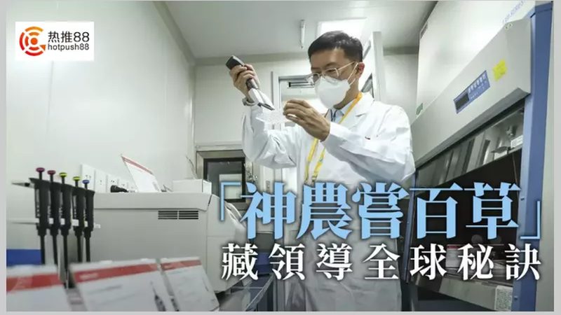 细胞工厂定制流程：揭秘生物医药生产的精密之旅