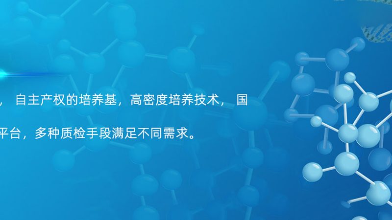 生物药CDMO质量标准：构建合规生产的基石**