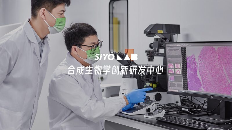 CRO实施流程：揭秘药物研发中的关键步骤