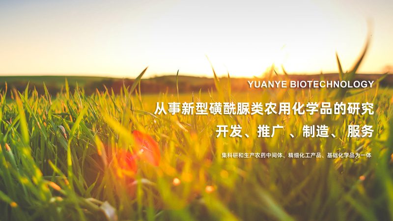 基因检测报告中的突变：解码生命密码的关键
