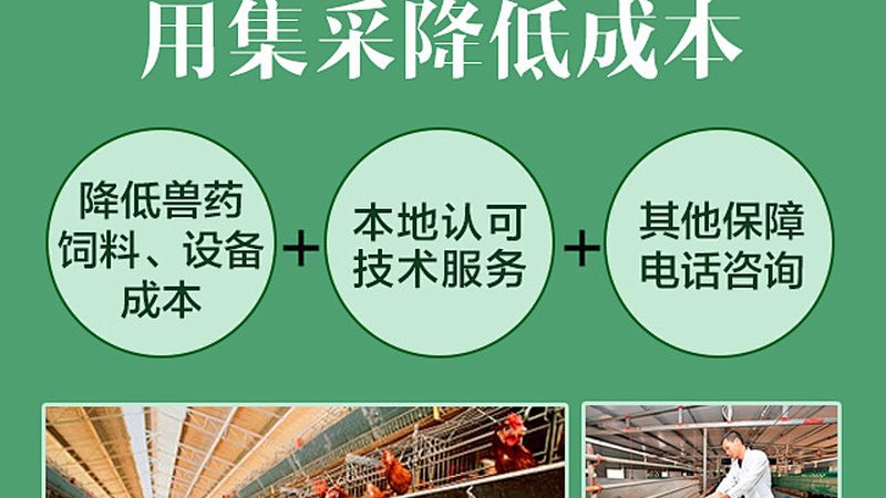CDMO与CMO：揭秘制药外包服务的两大模式