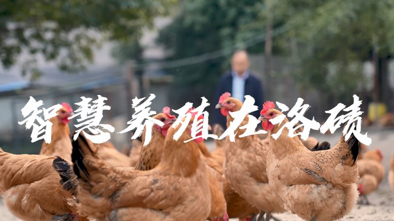 基因测序服务：北京地区选择与注意事项