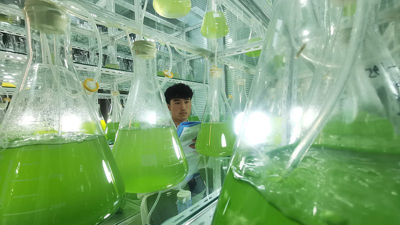 CDMO企业规模如何对比：揭秘医药外包市场的“隐形规则